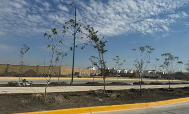 Terreno en Renta Blvd. Timoteo Lozano, Mayorazgo, León, Gto. 2048 m2