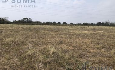 Terreno en renta en Altamira