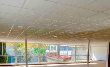 Casa con uso de suelo para oficinas en Altavista disponible segundo piso