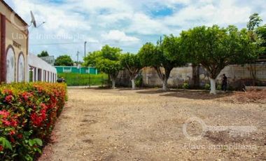 Terreno - Villa Alta