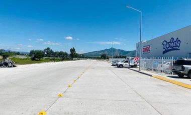 Bodega en Renta Cluster Industrial Panan II, Silao Guanajuato