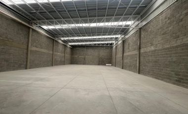 Bodega en Renta Cluster Industrial Panan II, Silao Guanajuato