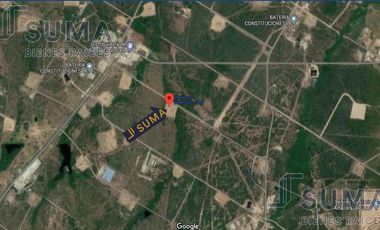 Terreno en Venta en Ejido Ricardo Flores Magón,  Altamira Tamaulipas.