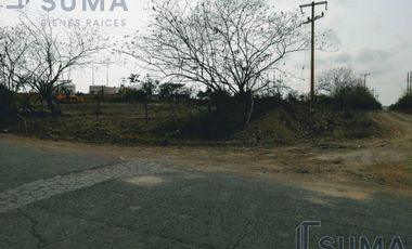 Terreno en Venta en Ejido Ricardo Flores Magón,  Altamira Tamaulipas.