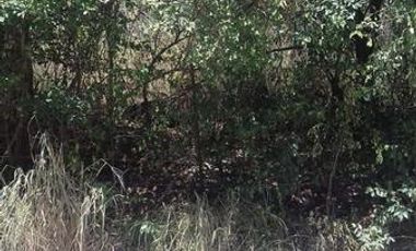 TERRENO EN VENTA  EL RANCHITO $18,000,000