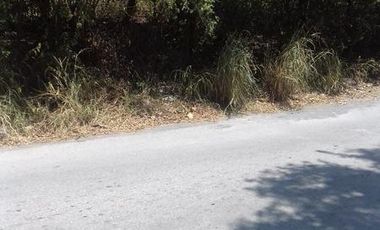 TERRENO EN VENTA  EL RANCHITO $18,000,000