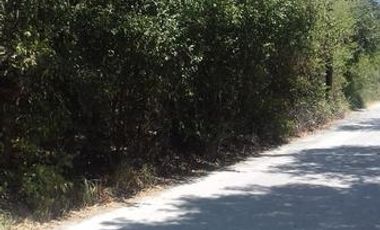 TERRENO EN VENTA  EL RANCHITO $18,000,000