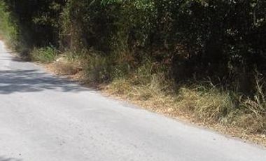 TERRENO EN VENTA  EL RANCHITO $18,000,000