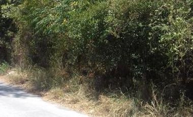 TERRENO EN VENTA  EL RANCHITO $18,000,000