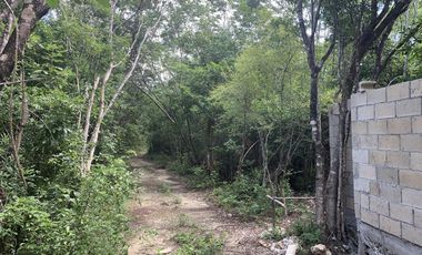 Venta de Terreno de 2,448 M2 con Uso de Suelo Habitacional, Puerto Morelos C3190