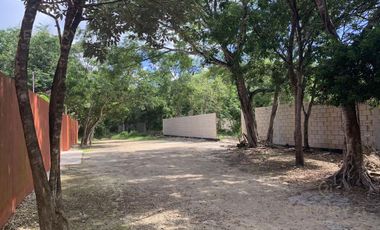 Venta de Terreno de 2,448 M2 con Uso de Suelo Habitacional, Puerto Morelos C3190