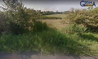 TERRENO EN VENTA EN TAMIAHUA EN COL. ESTERO DE MILPAS