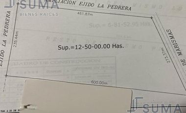 Terreno en Venta en Rancho Bosque de Bolonia, Altamira Tamaulipas.