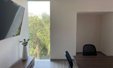VENTA OFICINAS HUMANA WORKCENTER PLAZA LAS AMERICAS PLAYA CARMEN