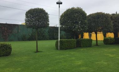 Edificio Comercial - La Magdalena