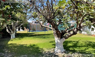 Quinta en  Ocotlán Jalisco, Colonia El Porvenir