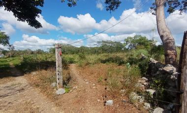Extenso terreno de 222,000 m² (22.2 hectáreas) en venta en Tetiz, Yucatán