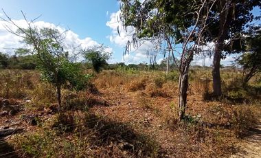 Extenso terreno de 222,000 m² (22.2 hectáreas) en venta en Tetiz, Yucatán
