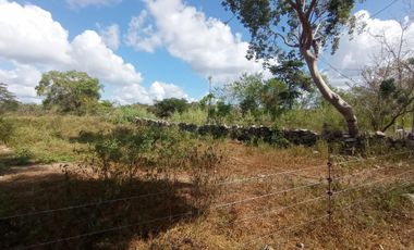 Extenso terreno de 222,000 m² (22.2 hectáreas) en venta en Tetiz, Yucatán