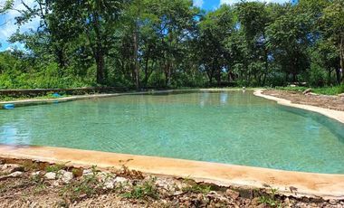 Extenso terreno de 222,000 m² (22.2 hectáreas) en venta en Tetiz, Yucatán