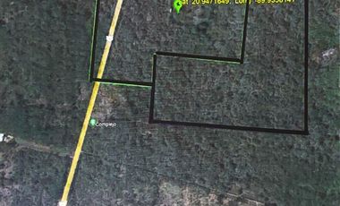 Extenso terreno de 222,000 m² (22.2 hectáreas) en venta en Tetiz, Yucatán