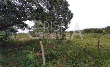 RANCHO EN VENTA EN TAMIAHUA, VERACRUZ