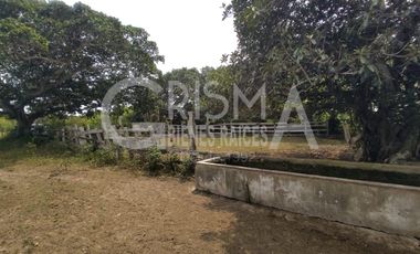 RANCHO EN VENTA EN TAMIAHUA, VERACRUZ
