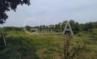 RANCHO EN VENTA EN TAMIAHUA, VERACRUZ