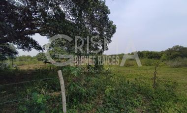 RANCHO EN VENTA EN TAMIAHUA, VERACRUZ