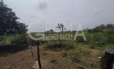 RANCHO EN VENTA EN TAMIAHUA, VERACRUZ