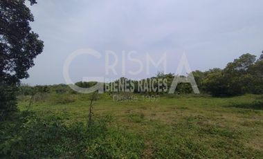 RANCHO EN VENTA EN TAMIAHUA, VERACRUZ