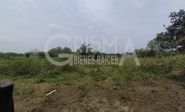 RANCHO EN VENTA EN TAMIAHUA, VERACRUZ