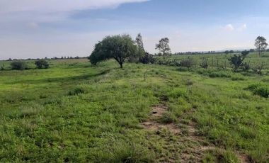 PARCELA EN VENTA, EN PALO ALTO. 6 HAS.