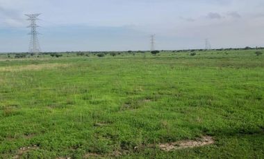 PARCELA EN VENTA, EN PALO ALTO. 6 HAS.