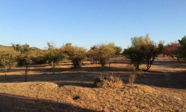 Parcela en Venta en El Manzano - Las Cabras