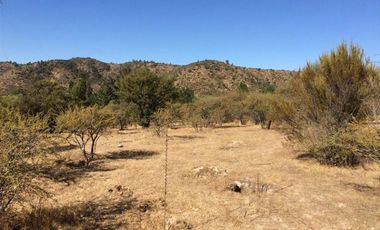 Parcela en Venta en El Manzano - Las Cabras