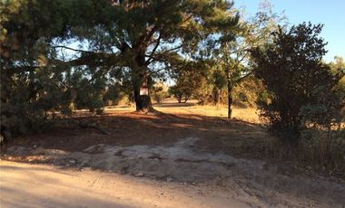 Parcela en Venta en El Manzano - Las Cabras