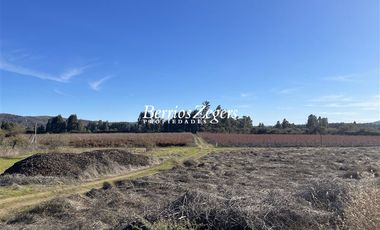 Agrícola en Venta en Potrero Largo - Rincón de La Higuera