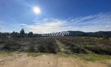 Agrícola en Venta en Potrero Largo - Rincón de La Higuera