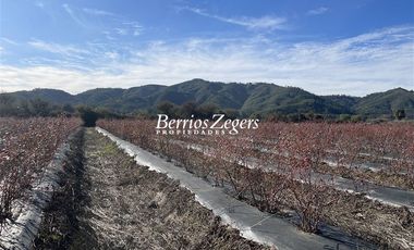 Agrícola en Venta en Potrero Largo - Rincón de La Higuera