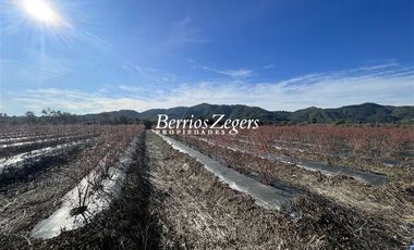 Agrícola en Venta en Potrero Largo - Rincón de La Higuera