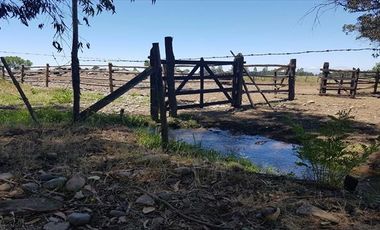 Parcela en Venta en  Linares