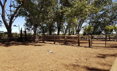 Parcela en Venta en  Linares
