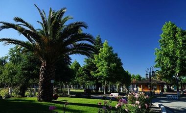 Local Comercial en Venta en Avda. Artesanos