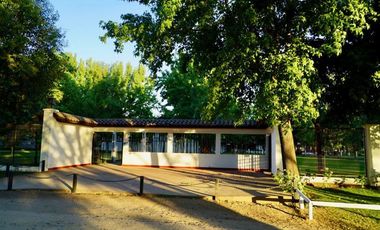 Local Comercial en Venta en Avda. Artesanos