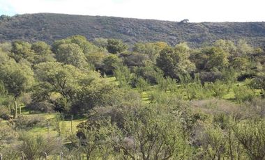Parcela en Venta en CAMINO COLLIGUAY, ESQUINA CERRO VIEJO
