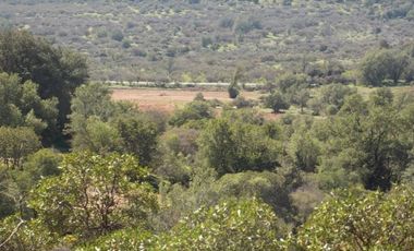 Parcela en Venta en CAMINO COLLIGUAY, ESQUINA CERRO VIEJO