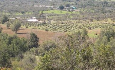 Parcela en Venta en CAMINO COLLIGUAY, ESQUINA CERRO VIEJO
