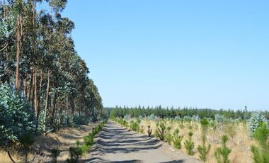 Agrícola en Venta en Laja