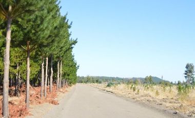 Agrícola en Venta en Laja